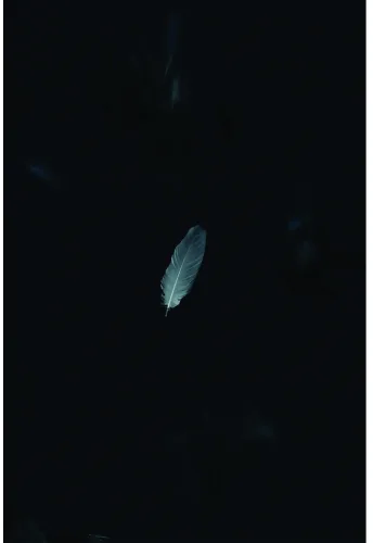 A single pale blue-grey feather suspended against a nearly black background.