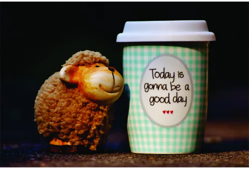 A handmade knitted sheep with a contented expression sits next to a takeaway coffee cup with green gingham pattern and text reading 'Today is gonna be a good day' against a dark background.