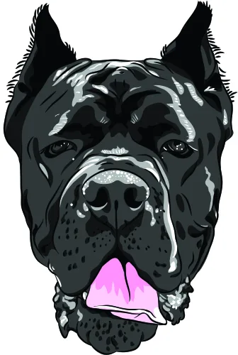 Illustration of a black boxer dog's face with pointed ears, direct gaze, and a bright pink tongue hanging out.