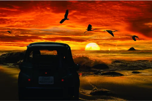 A silhouetted vintage car faces a dramatic orange and gold sunset over the ocean, with four birds flying across the sky.