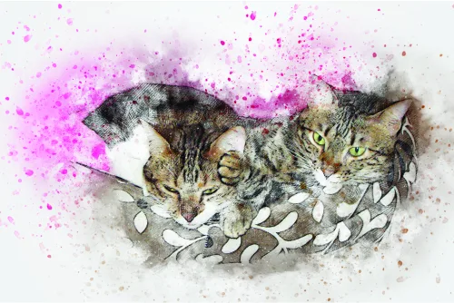 Watercolour illustration of a tabby cat surrounded by pink paint splashes and delicate leaf details on a light background.