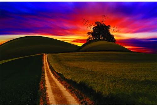 A dirt track runs through golden fields toward a silhouetted tree, beneath a dramatic orange and purple sunset sky.