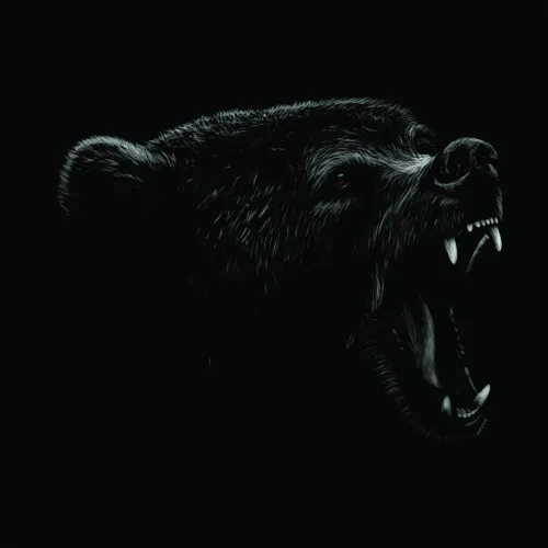 White line-art sketch of a snarling bear with bared teeth against a black background.