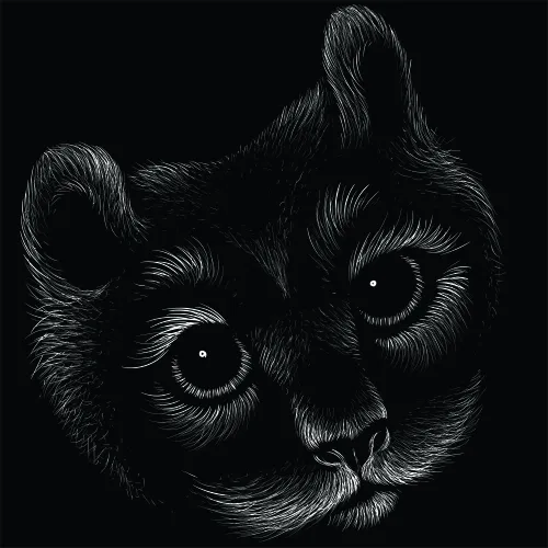 Line-art sketch of a cat's face in black and white, with detailed fur texture and prominent bright eyes against a dark background.
