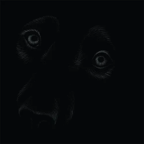 Line drawing of a dog's face with attentive eyes and soft fur detail rendered in white lines against a black background.