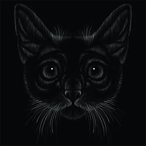 White line-art drawing of a cat's face with large eyes and pointed ears on a solid black background.