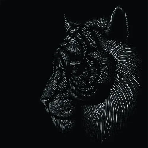 A tiger's head in profile, drawn with fine white lines against a black background, showing detailed fur texture and a calm, forward-facing gaze.