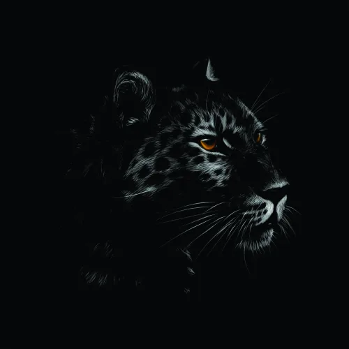 A detailed sketch of a leopard's face against a black background, with bright amber eyes and fine line work showing its spotted coat and whiskers.