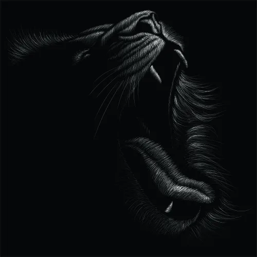 White line-art sketch of a lion's head in profile against a black background, showing detailed mane and facial features.