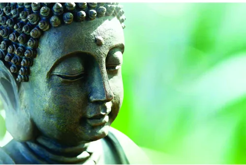 A stone Buddha head in profile with closed eyes, photographed against a blurred green background suggesting foliage and natural light.