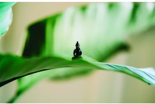 A black silhouette of a meditating figure sits on a curved green plant stem against a soft, blurred background of green foliage.