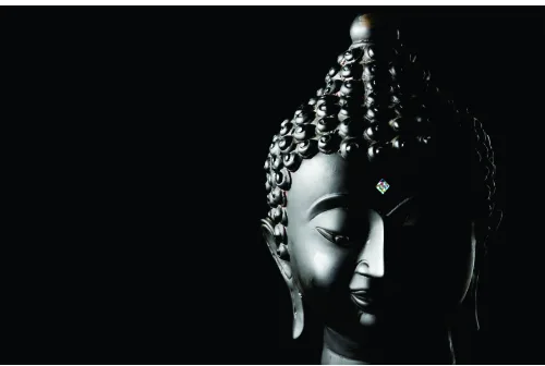 A monochrome photograph of a Buddha head in profile against a black background, with dramatic lighting highlighting the serene facial features and detailed hair texture.