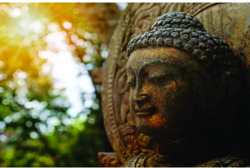 A close-up photograph of a weathered stone Buddha statue with eyes closed in meditation, surrounded by blurred green foliage and warm golden sunlight filtering through trees.