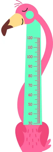 A cartoon illustration of a bright pink parrot with brown wings and tail feathers stretching alongside a tall mint-green height measurement scale marked in centimetres from 30 to 120.