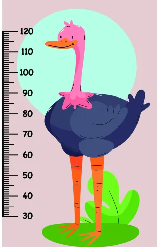 A tall pink-headed ostrich with orange legs stands on grass against a mint-green circle, with a height measurement scale from 30 to 120 centimetres running down its side.