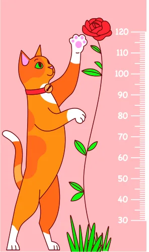 An orange cat with green eyes stands on hind legs reaching toward a red rose on a pink background, with a height measurement scale marked from 30 to 120 centimetres along the right edge.