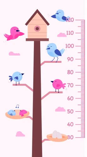 A height measurement chart from 30 to 120 centimetres featuring a wooden birdhouse at the top and colourful illustrated birds at various heights with pink and blue clouds.