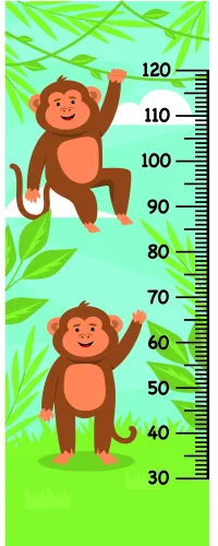 Cartoon illustration of two brown monkeys with raised arms positioned at different heights beside a numbered growth chart scale from 30 to 120 centimetres, surrounded by green tropical leaves.