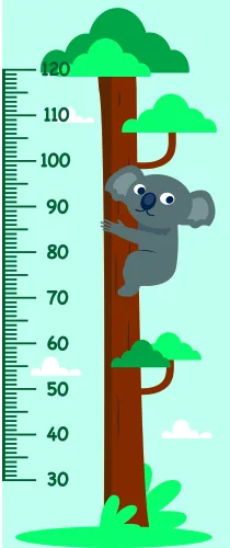 A grey koala clings to a brown tree trunk surrounded by green foliage, with a numbered height scale from 30 to 110 centimetres running vertically alongside.