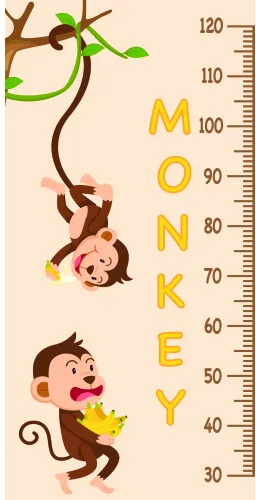 A cartoon height chart featuring a brown monkey swinging from a green vine at the top and another brown monkey holding fruit at the bottom, with measurement markings from 30 to 120 centimetres along the right side.