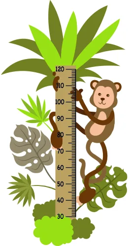 A cartoon monkey clings to a height measurement chart surrounded by various shades of green tropical leaves and plants, with measurements marked from 30 to 120 centimetres.