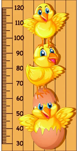 A wooden height chart featuring three cartoon yellow chicks with orange beaks, two partially hatched from brown eggs and one fully emerged at the top, against a cream background with measurement markings from 30 to 120 centimetres.