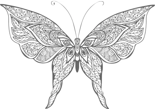 A symmetrical butterfly with intricately patterned wings rendered in fine black line art against a white background.