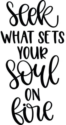 Black handwritten script on white background reading 'Seek what sets your soul on fire'.