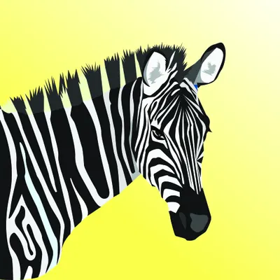 Stylised illustration of a zebra's head in black and white stripes, facing slightly left, against a bright yellow background.