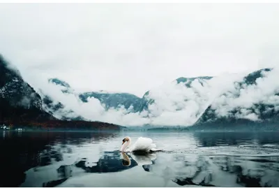 A photograph of a single duck swimming on a still, misty lake surrounded by snow-capped mountains and low clouds.