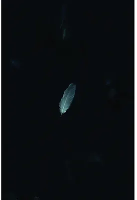A single pale blue-grey feather suspended against a nearly black background.