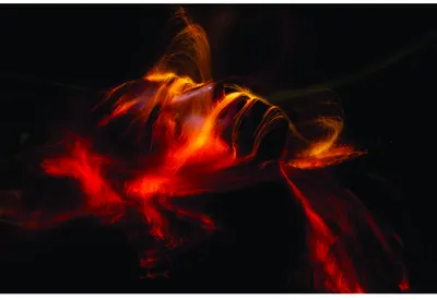 A luminous phoenix with spread wings glows in shades of red, orange and gold against a black background.