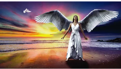A woman with large white wings stands on a beach wearing a flowing white dress, facing a sunset sky painted in shades of purple, gold, and pink.