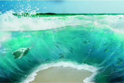 A seal rides inside a large turquoise wave with white foam, against a pale blue sky.