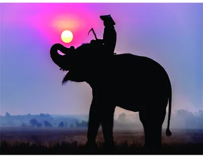 Silhouette of an elephant with raised trunk against a purple and pink sunset sky, with a small figure sitting on its back.