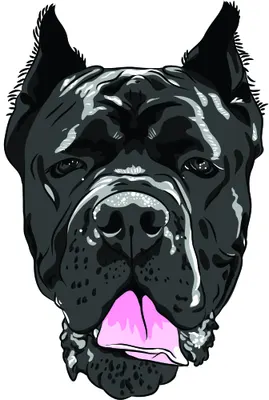 Illustration of a black boxer dog's face with pointed ears, direct gaze, and a bright pink tongue hanging out.