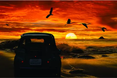 A silhouetted vintage car faces a dramatic orange and gold sunset over the ocean, with four birds flying across the sky.