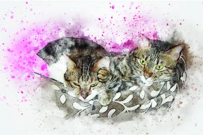 Watercolour illustration of a tabby cat surrounded by pink paint splashes and delicate leaf details on a light background.
