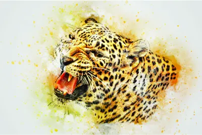 Watercolour painting of a roaring leopard with spotted coat in shades of gold and yellow, with paint splatters radiating outward against a cream background.