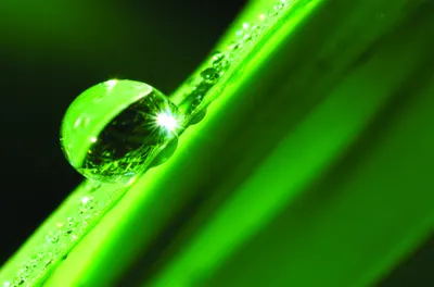A luminous water droplet sits on a bright green grass blade, refracting light against a dark blurred background.