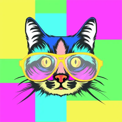 A stylised pop art illustration of a cat's face wearing oversized pink sunglasses against a bright multicoloured geometric background of yellow, cyan, magenta and lime squares.
