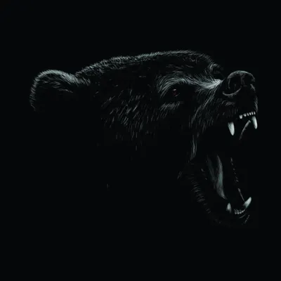 White line-art sketch of a snarling bear with bared teeth against a black background.