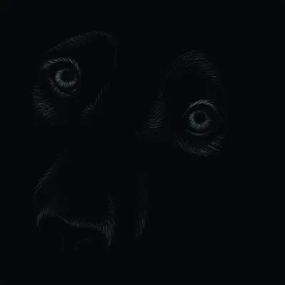 Line drawing of a dog's face with attentive eyes and soft fur detail rendered in white lines against a black background.