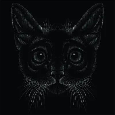 White line-art drawing of a cat's face with large eyes and pointed ears on a solid black background.