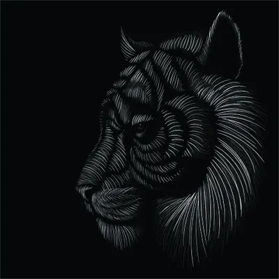 A tiger's head in profile, drawn with fine white lines against a black background, showing detailed fur texture and a calm, forward-facing gaze.