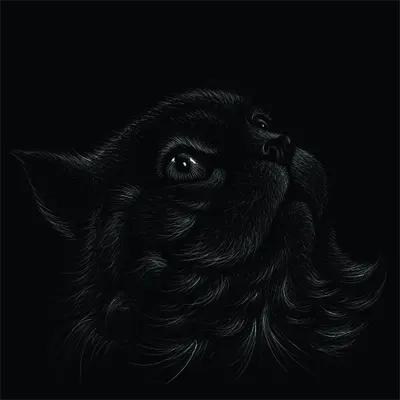 A detailed sketch of a black cat's head tilted upward, with bright eyes highlighted against a black background.