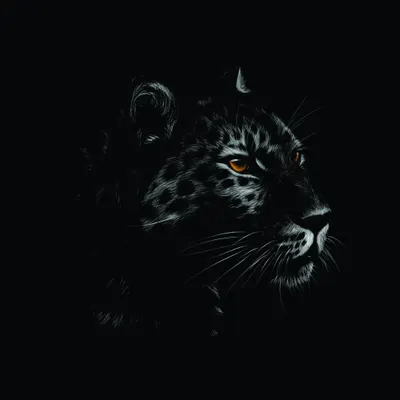 A detailed sketch of a leopard's face against a black background, with bright amber eyes and fine line work showing its spotted coat and whiskers.