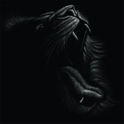 White line-art sketch of a lion's head in profile against a black background, showing detailed mane and facial features.