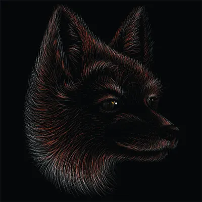Line art portrait of a fox's head in profile, drawn with fine copper and brown lines on black background, with golden amber eyes.