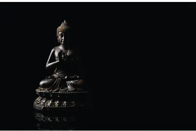 A golden Buddha statue sits in lotus position on a decorative base, photographed against a black background with dramatic lighting.